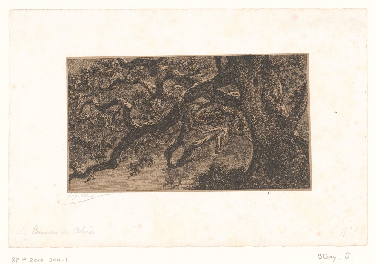 Kastanjetakken
Os ramos de carvalho (título sobre o objecto)
Pequenas vistas da floresta de Fontainebleau (título da série) de Eugène Bléry (signed by artist)