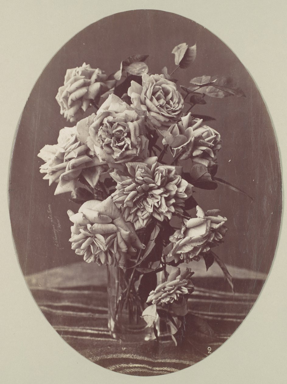 [Rosas], c. 1875. de Eugène Chauvigné