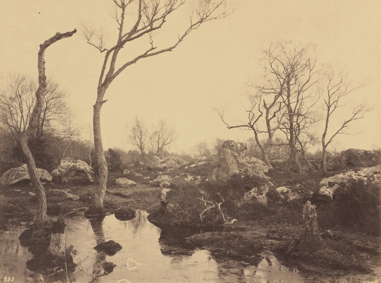 Bela Cruz, c. 1858. de Eugène Cuvelier