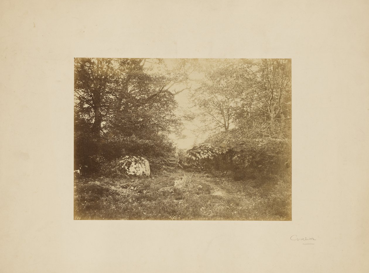[Estudo paisagístico]. de Eugène Cuvelier