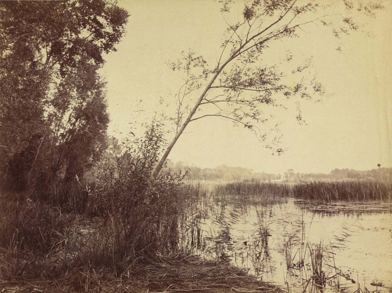 Marais de Fampoux, início dos anos 1860 (foto) de Eugène Cuvelier