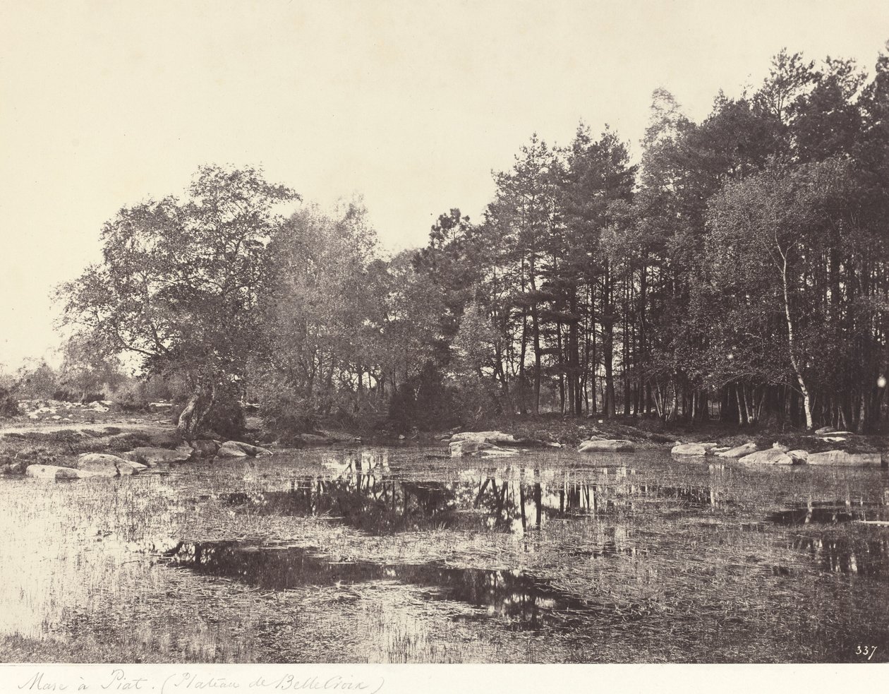 Pântano em Piat (Belle-Croix Plateau) de Eugène Cuvelier