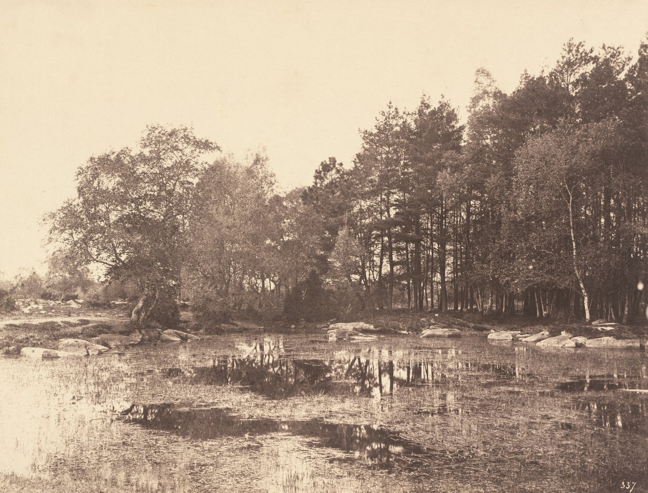 Marsh em Piat Belle-Croix Plateau, c. 1863. de Eugène Cuvelier