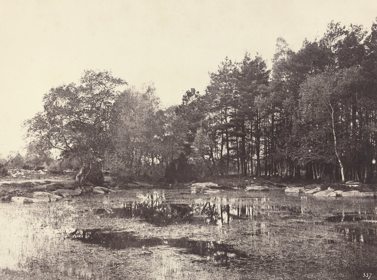 Marsh em Piat Belle-Croix Plateau, c. 1863. de Eugène Cuvelier