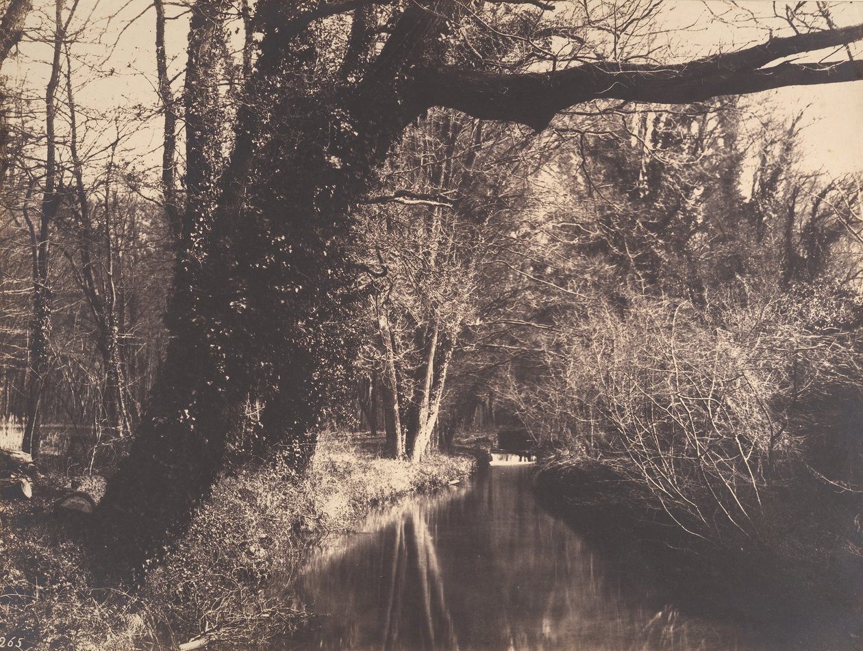 Parque Courances, 1860-70. de Eugène Cuvelier