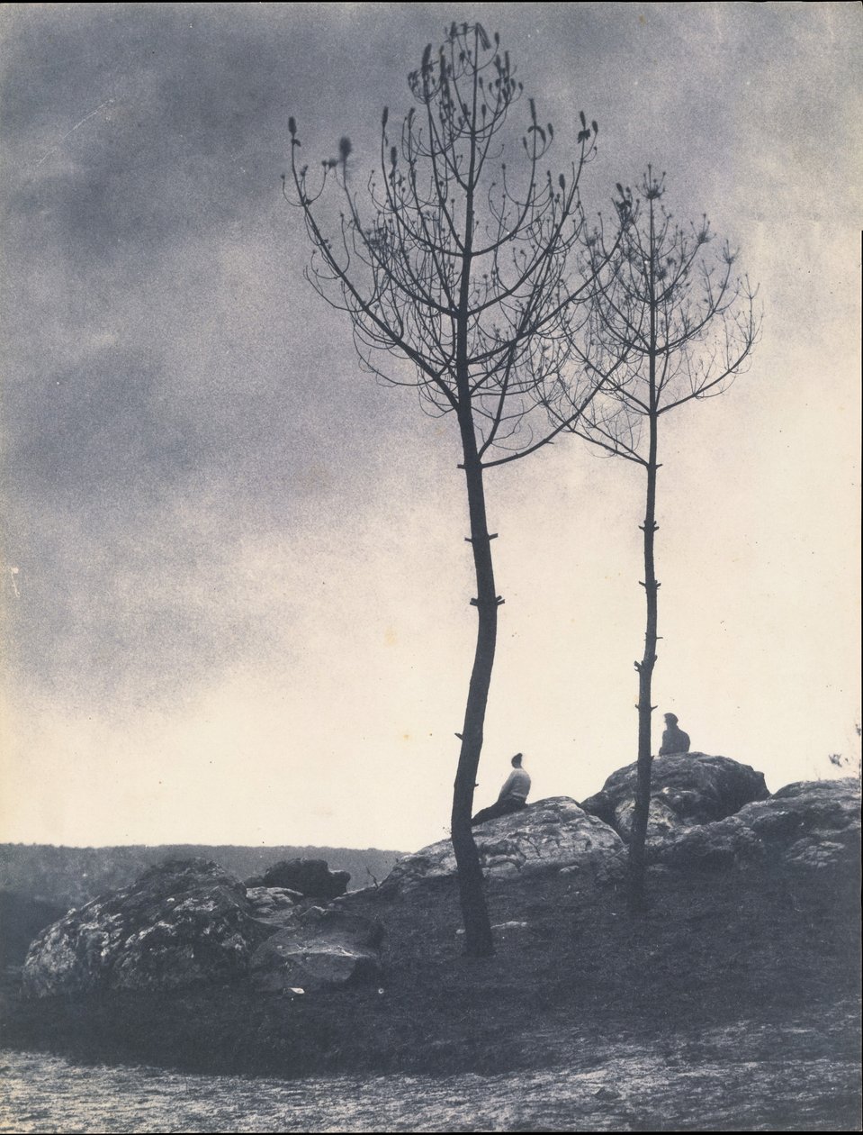 Floresta. de Eugène Cuvelier