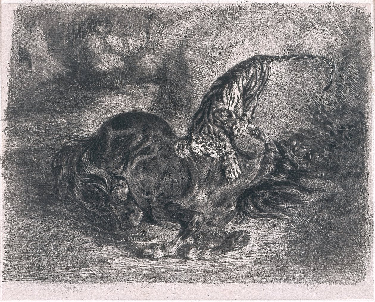 Cavalo selvagem abatido por um tigre de Ferdinand Victor Eugene Delacroix
