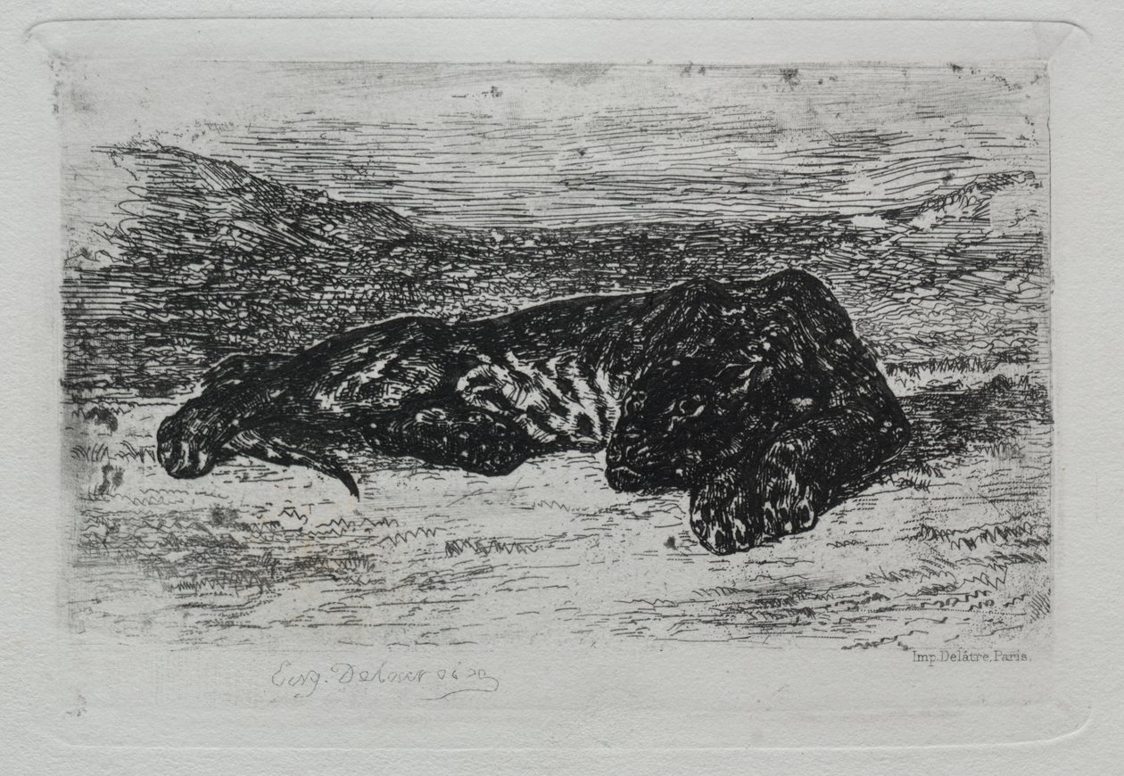 Tigre agachado no deserto de Eugène Delacroix