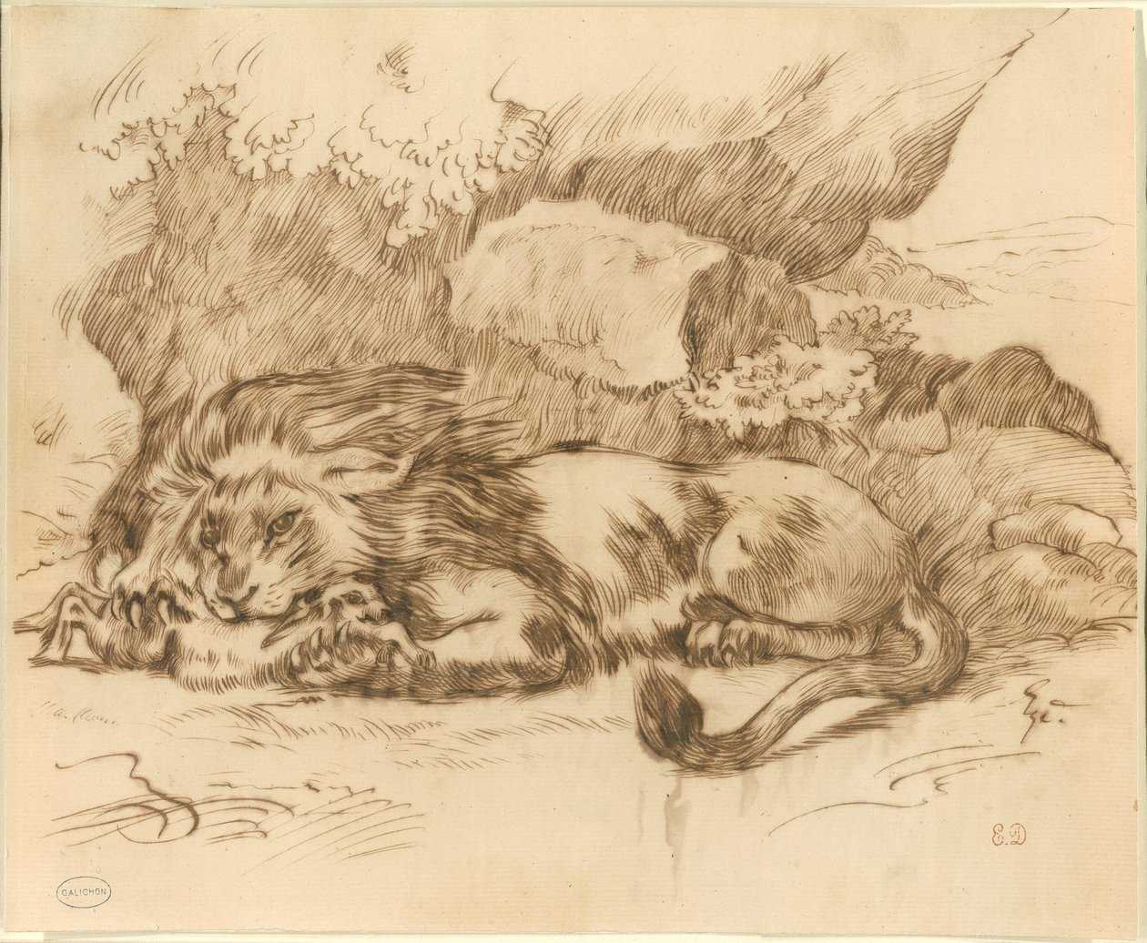 Leão Devorando um Coelho de Eugène Delacroix
