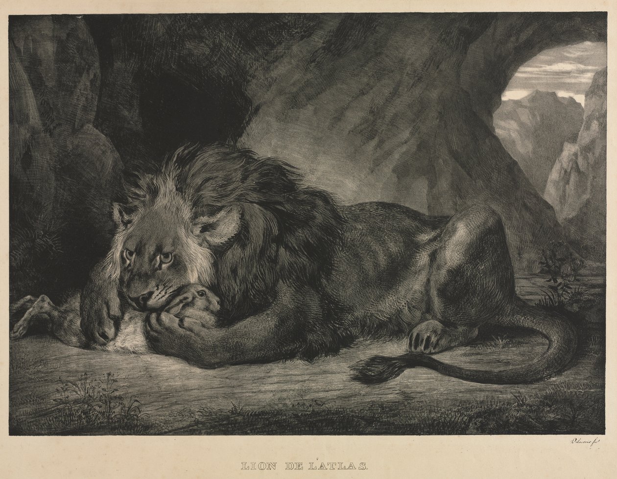 Leão das montanhas do Atlas de Eugène Delacroix
