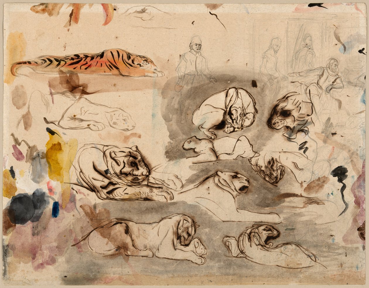 Esboços de tigres e homens em trajes do século 16 de Eugène Delacroix