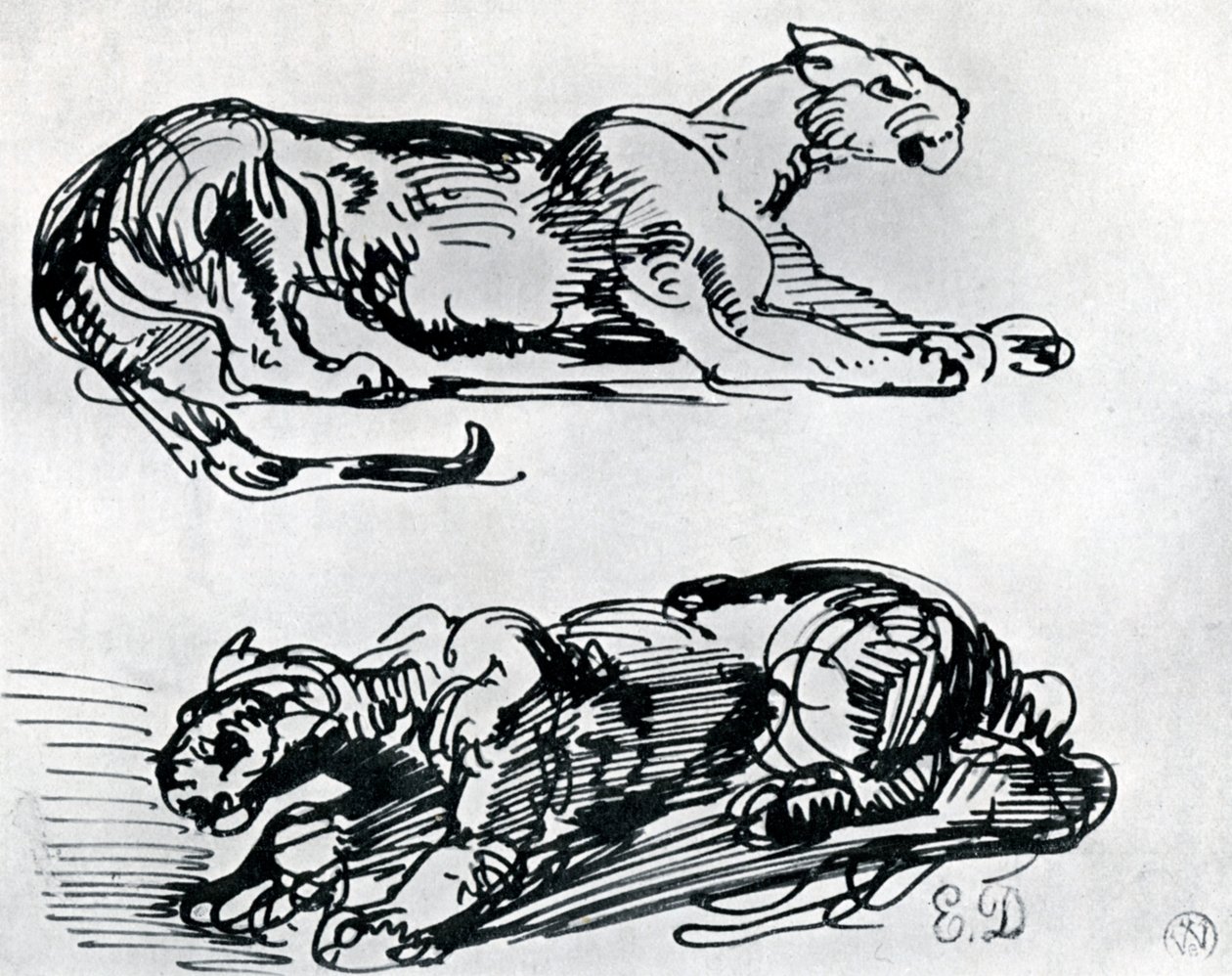 Estudos das Panteras, 1913 de Ferdinand Victor Eugene Delacroix