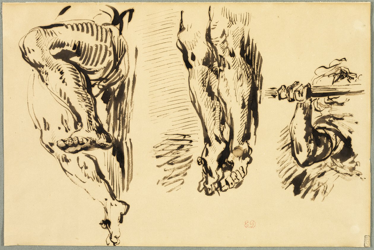 Estudo de Braços e Pernas de Cristo Crucificado de Eugène Delacroix
