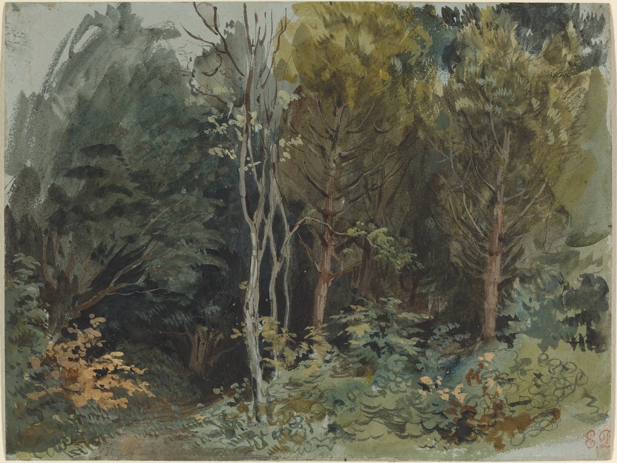 A borda de uma madeira em Nohant de Eugène Delacroix