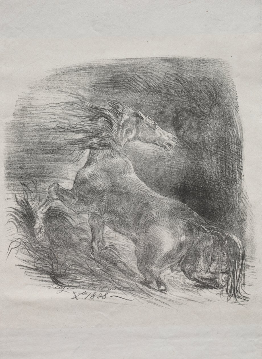 O cavalo selvagem, ou cavalo assustado saindo da água de Eugène Delacroix