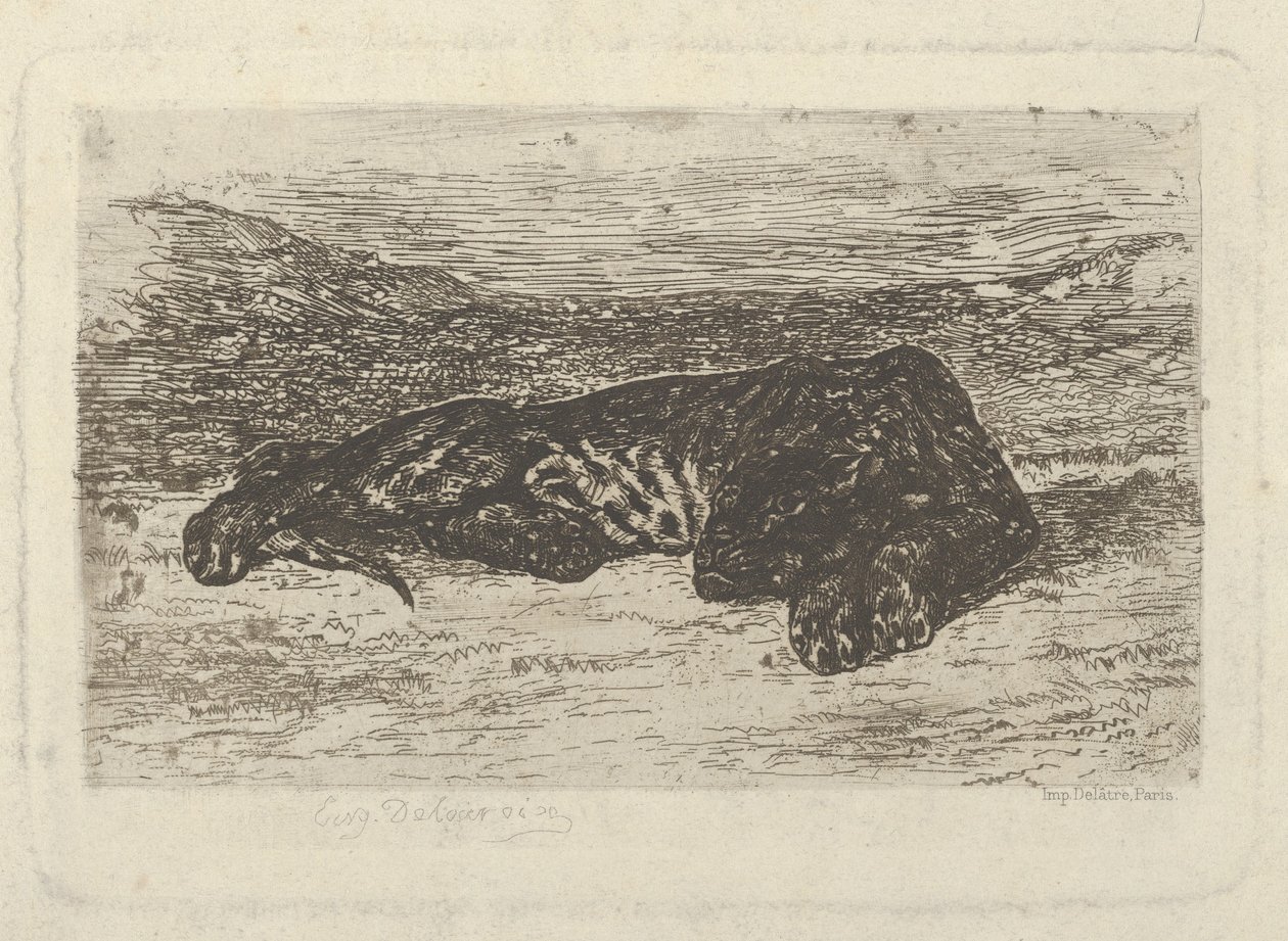 Tigre deitado no deserto, 1846 ., 1846 . de Eugène Delacroix