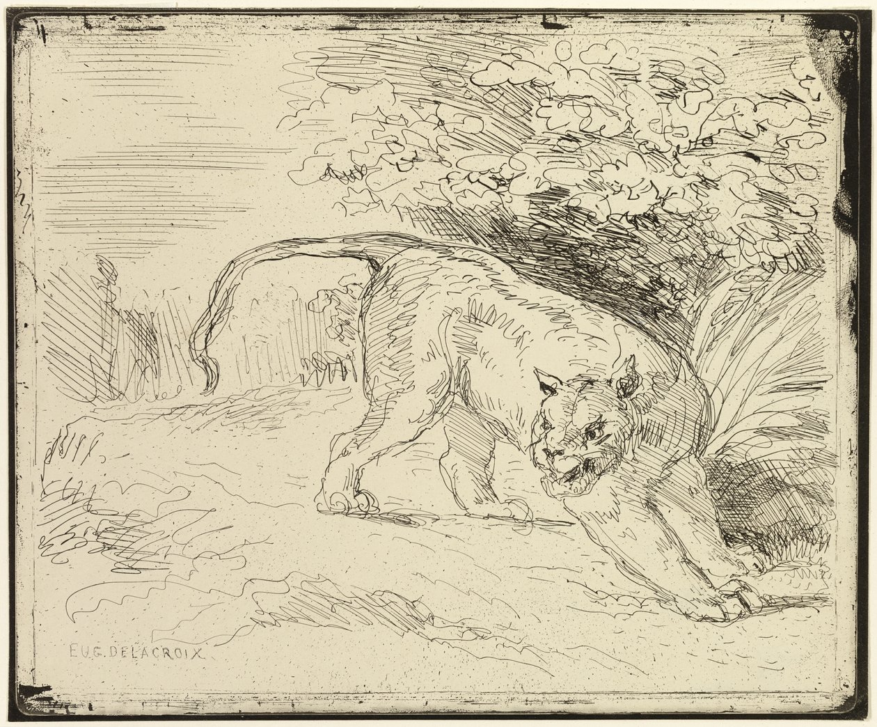 Tigre pronto para a primavera de Eugène Delacroix