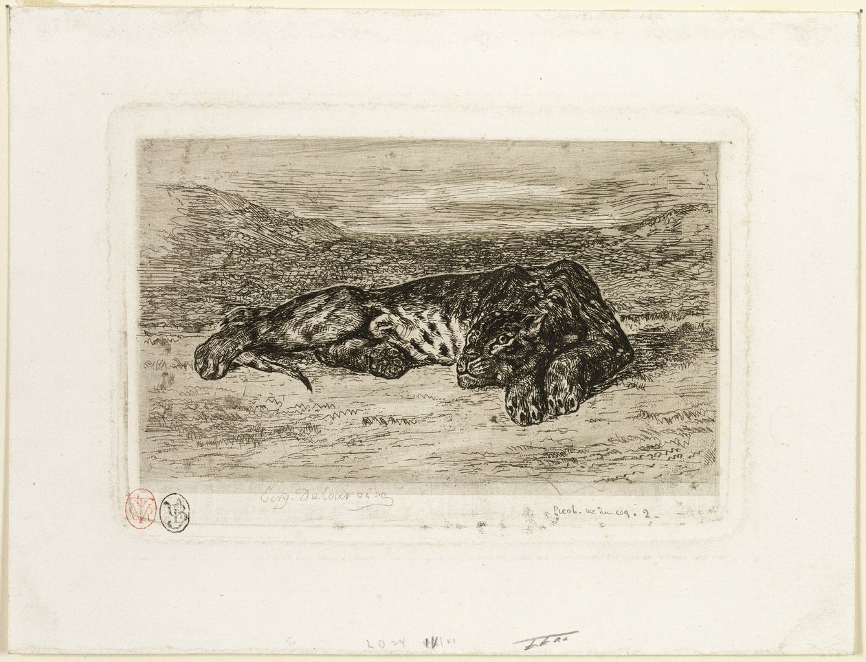 Tigre descansando no deserto de Eugène Delacroix
