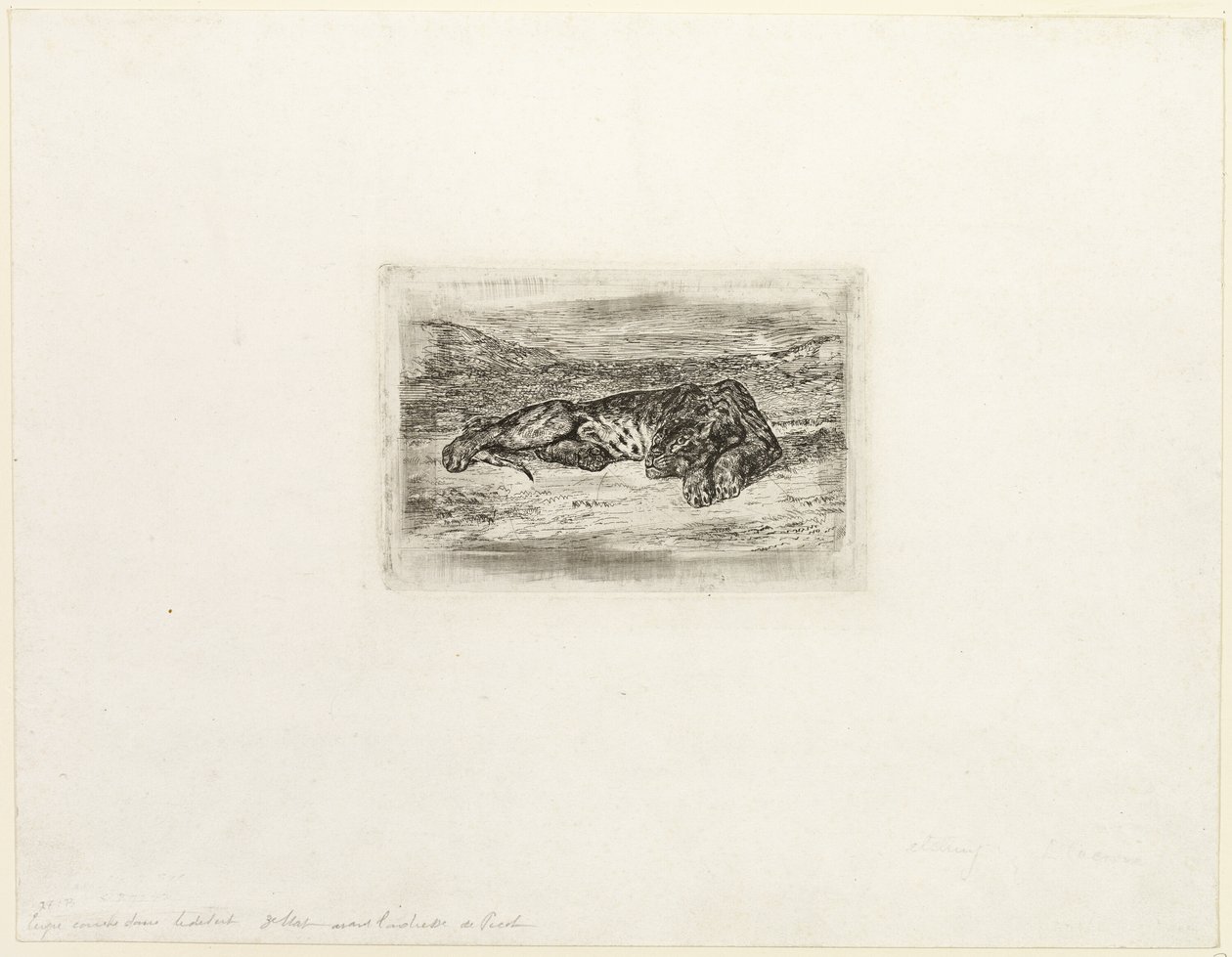 Tigre descansando no deserto de Eugène Delacroix