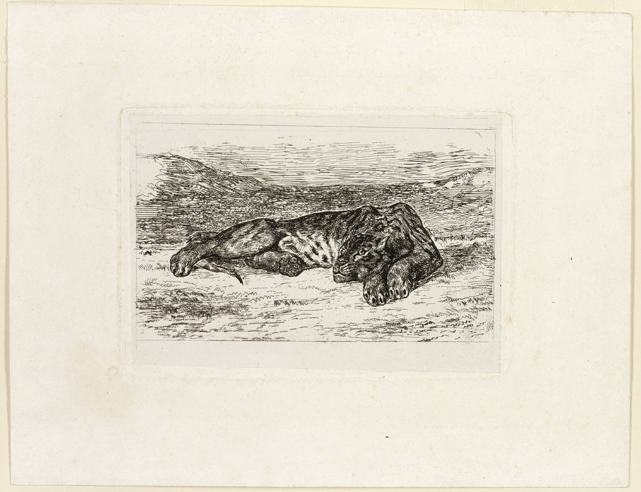 Tigre descansando no deserto de Eugène Delacroix