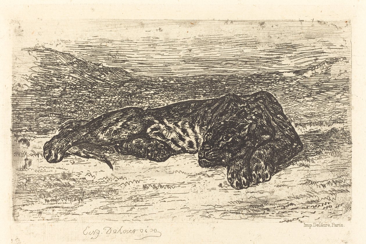 Tigre dormindo no deserto de Eugène Delacroix