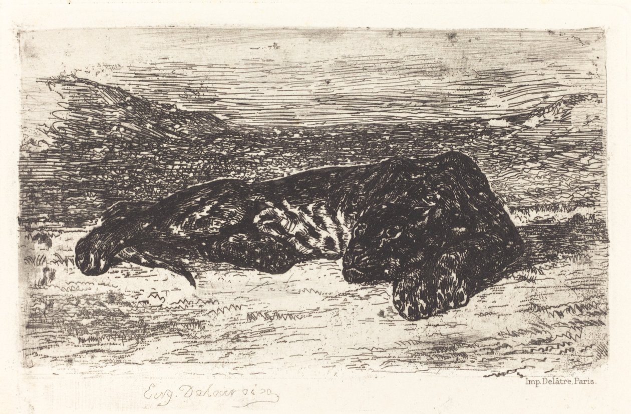 Tigre dormindo no deserto de Eugène Delacroix