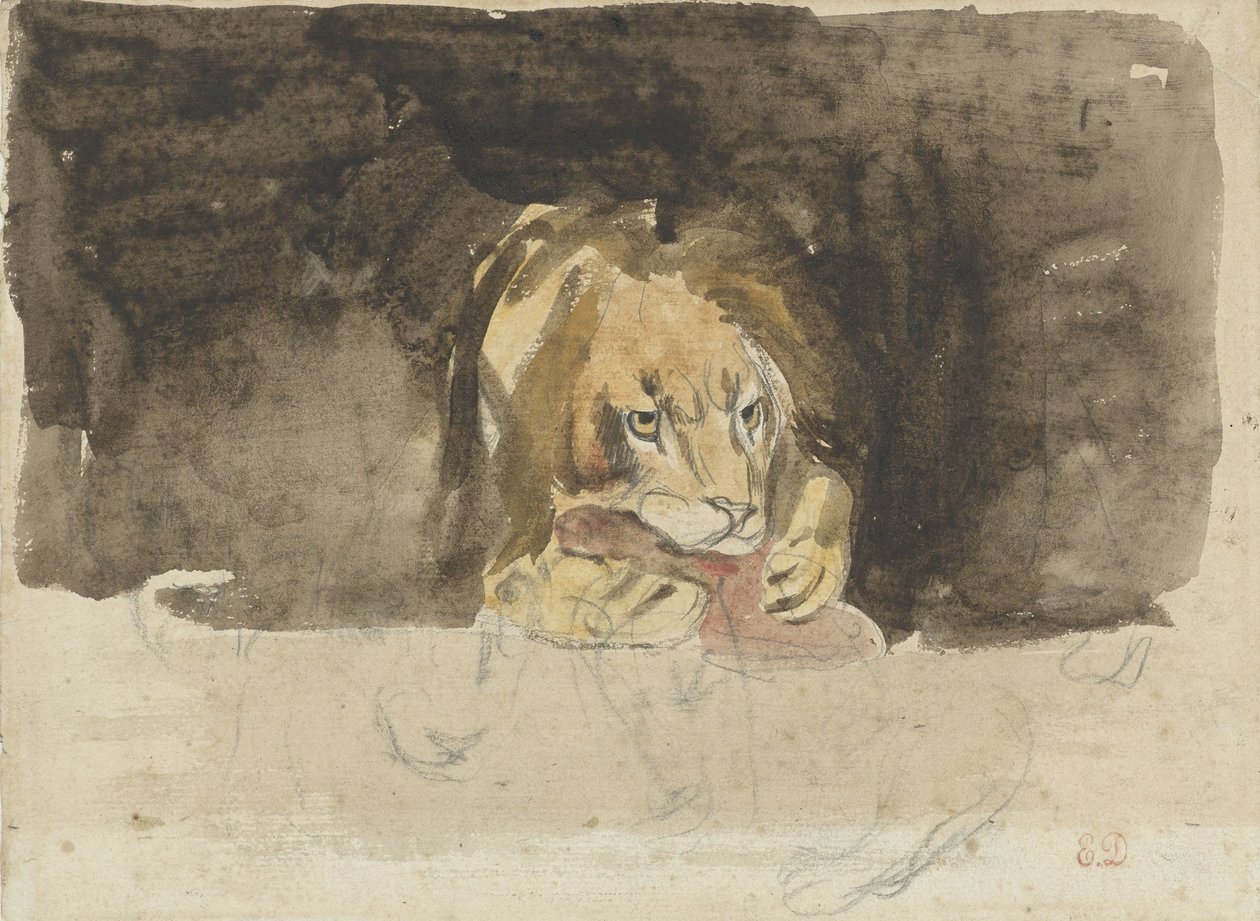 Leão carnívoro, visto de frente, projectando-se contra um terreno escuro de Eugène Delacroix