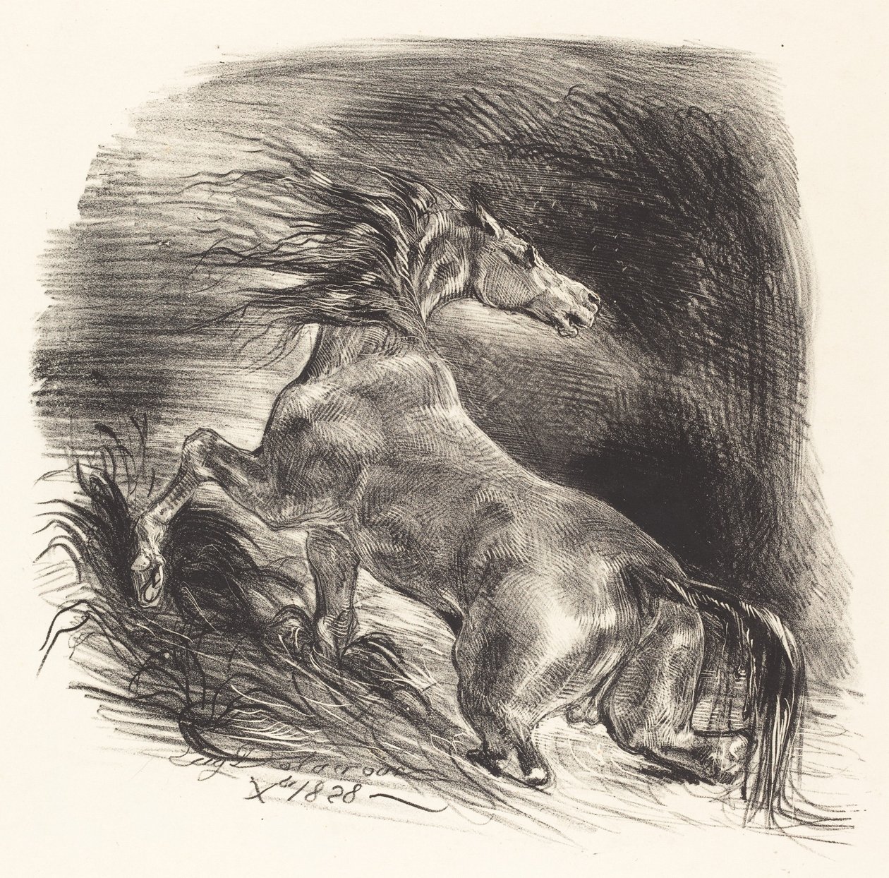 Cavalo selvagem saindo da água (Cheval sauvage) de Eugène Delacroix
