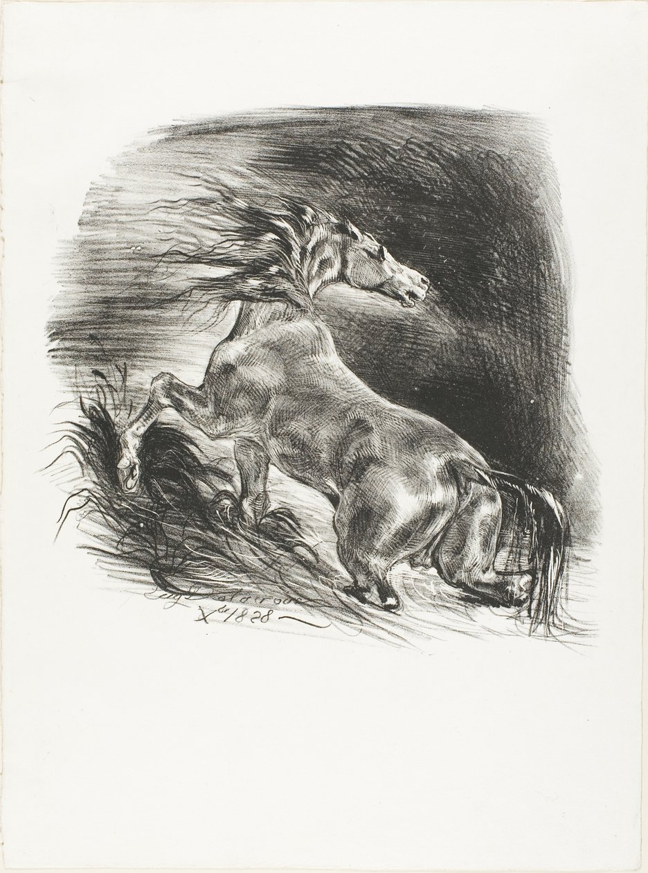 Cavalo selvagem, ou cavalo assustado saindo da água de Eugène Delacroix