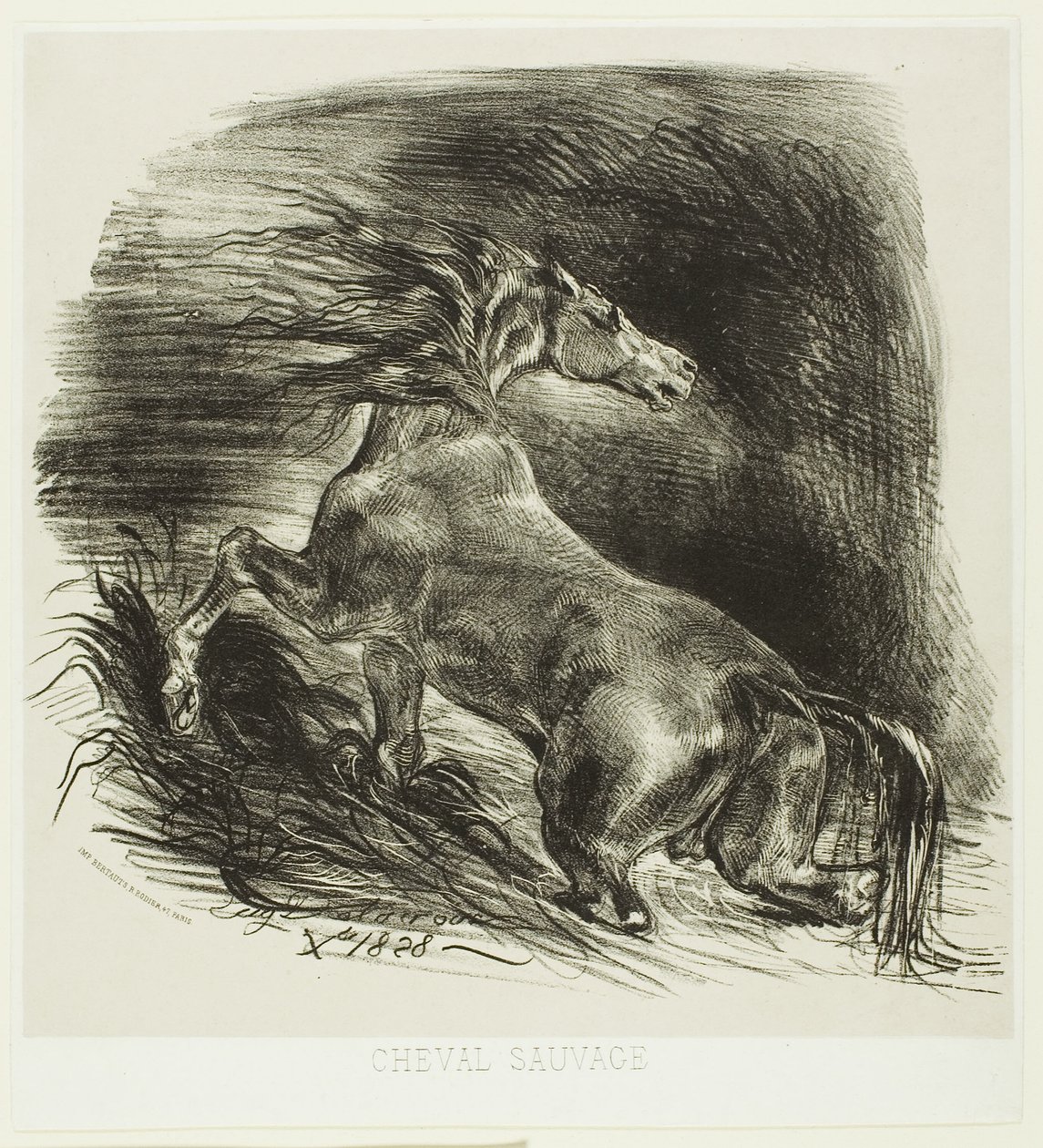 Cavalo selvagem ou cavalo assustado saindo da água de Eugène Delacroix