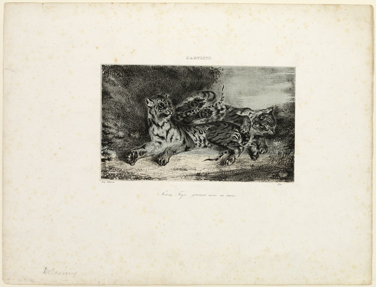 Jovem tigre brincando com sua mãe de Eugène Delacroix