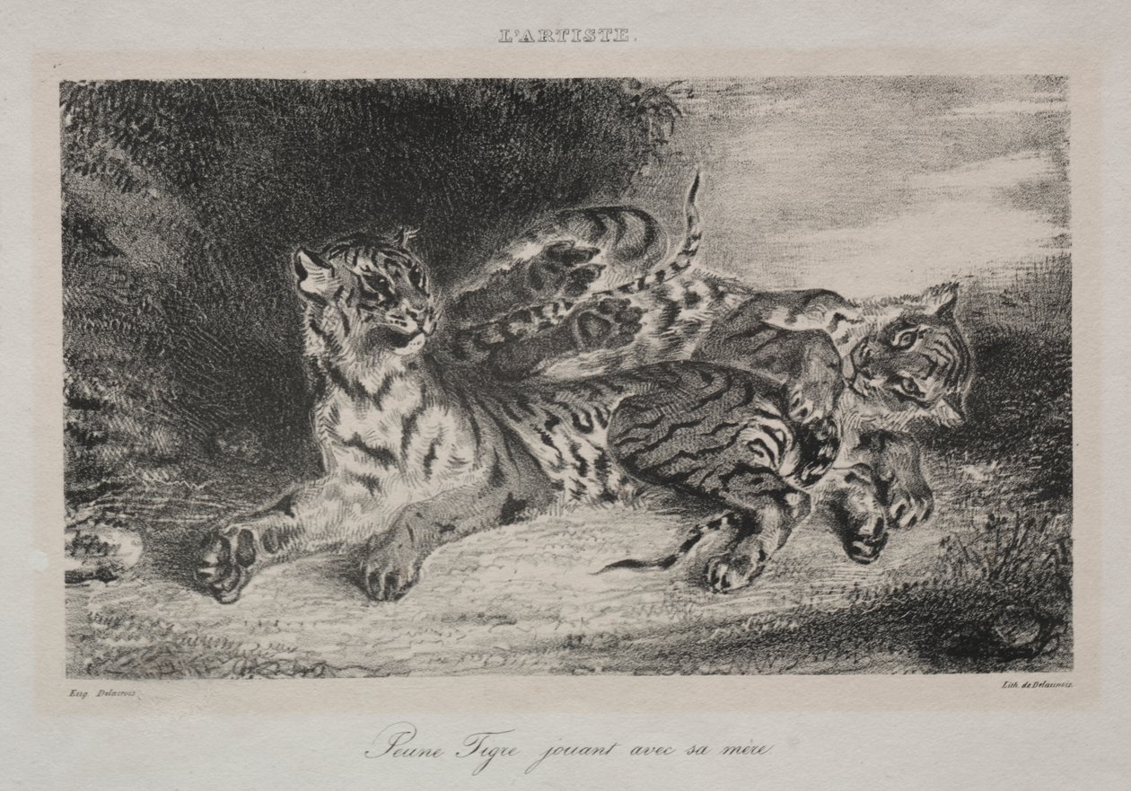 Jovem tigre brincando com sua mãe de Eugène Delacroix