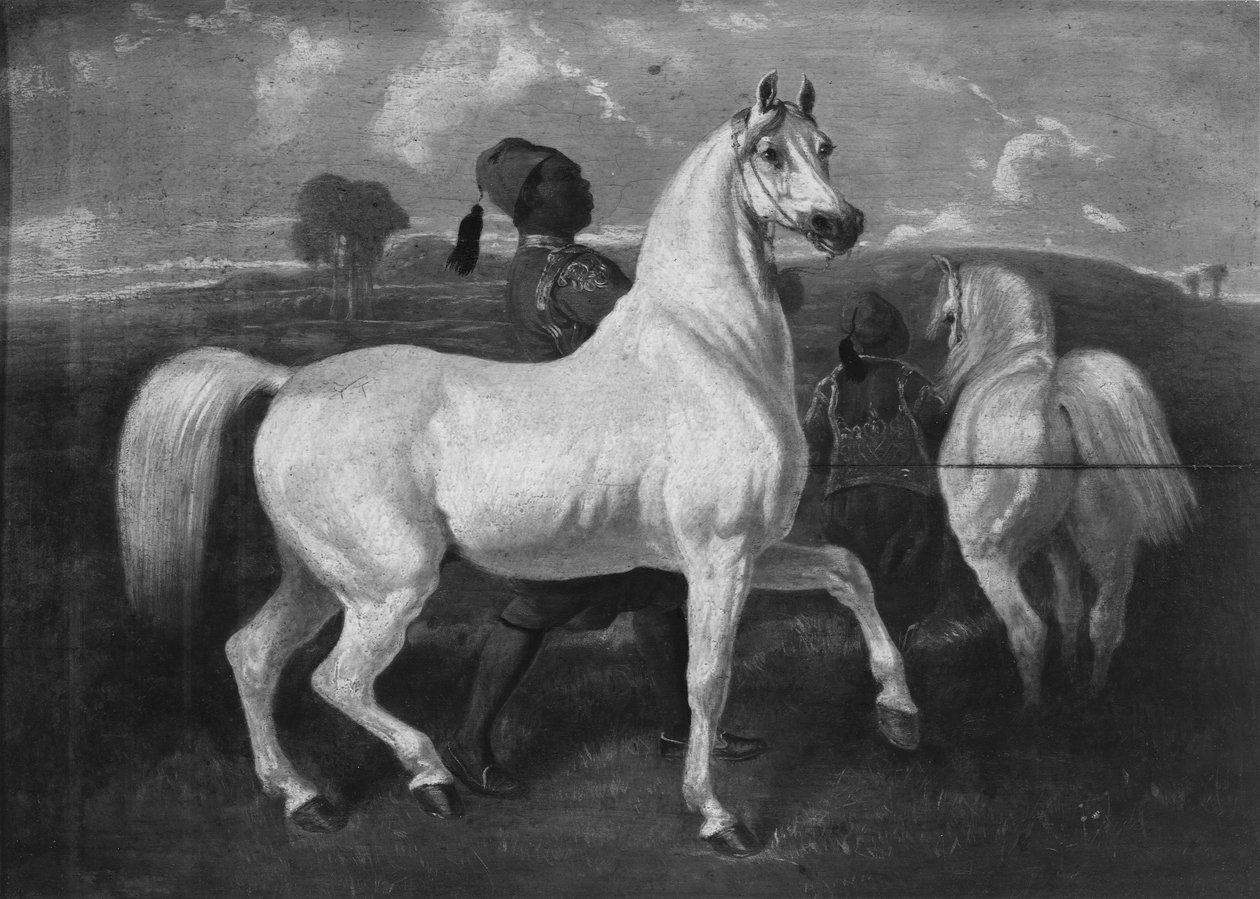 Cavalos árabes, século XIX de Eugène Fromentin