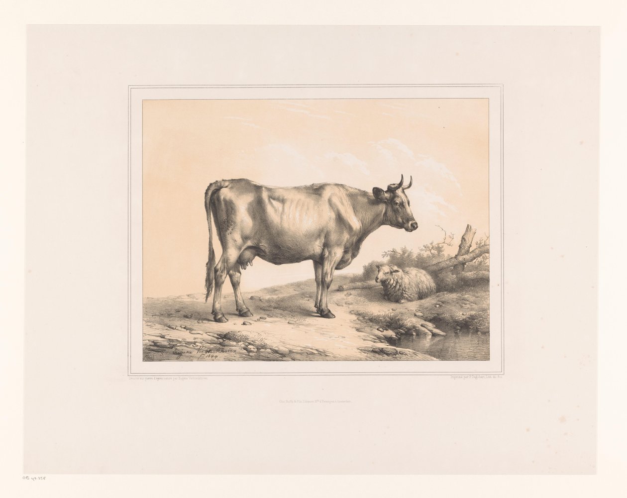 Vaca e ovelha numa paisagem
Vários animais (título da série)
Études d