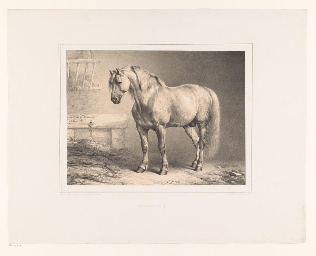 Cavalo em um estábulo Vários animais (título da série) Etudes d
