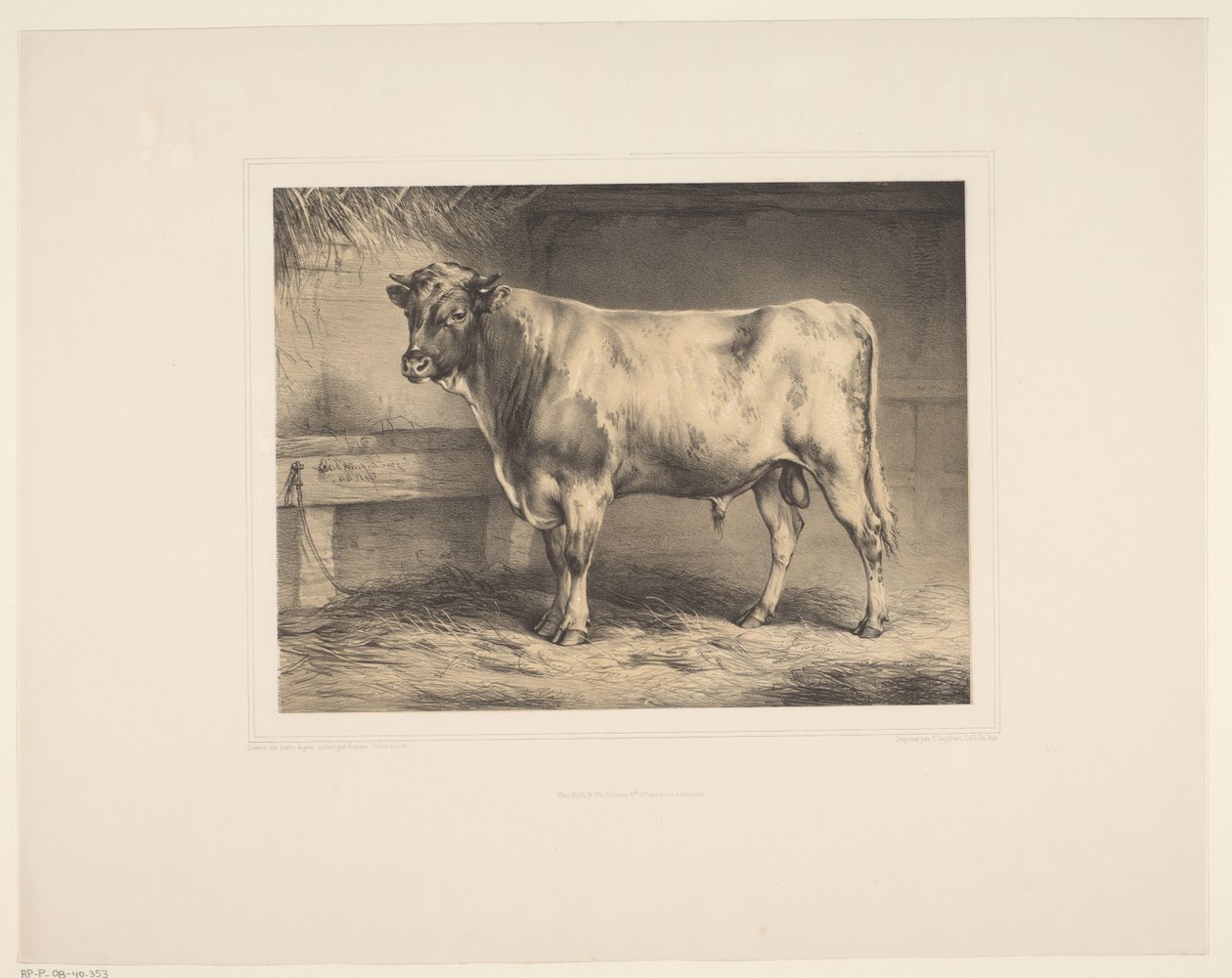 Stier Diversos dieren (título da série) Estudos Animais (título da série) de Eugène Verboeckhoven