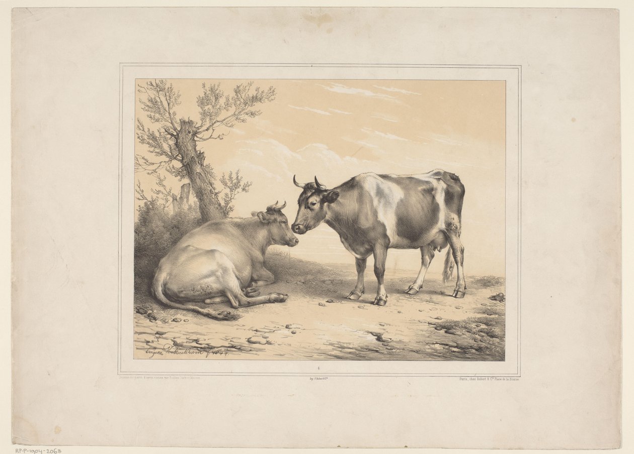Twee koeien Vários tamme dieren (título da série) Treze temas de animais domésticos e nativos (título da série) de Eugène Verboeckhoven