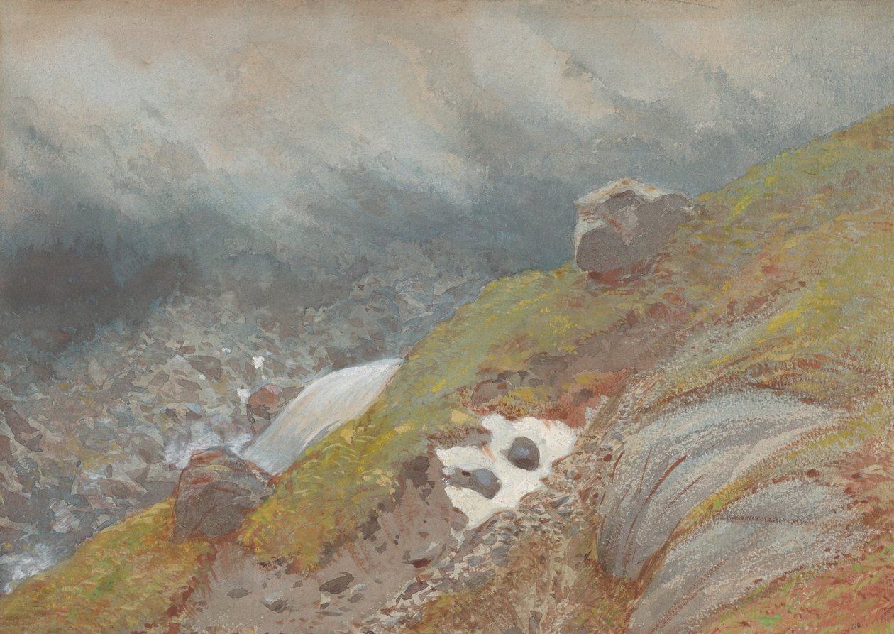 Floresta. de Eugène Viollet le Duc