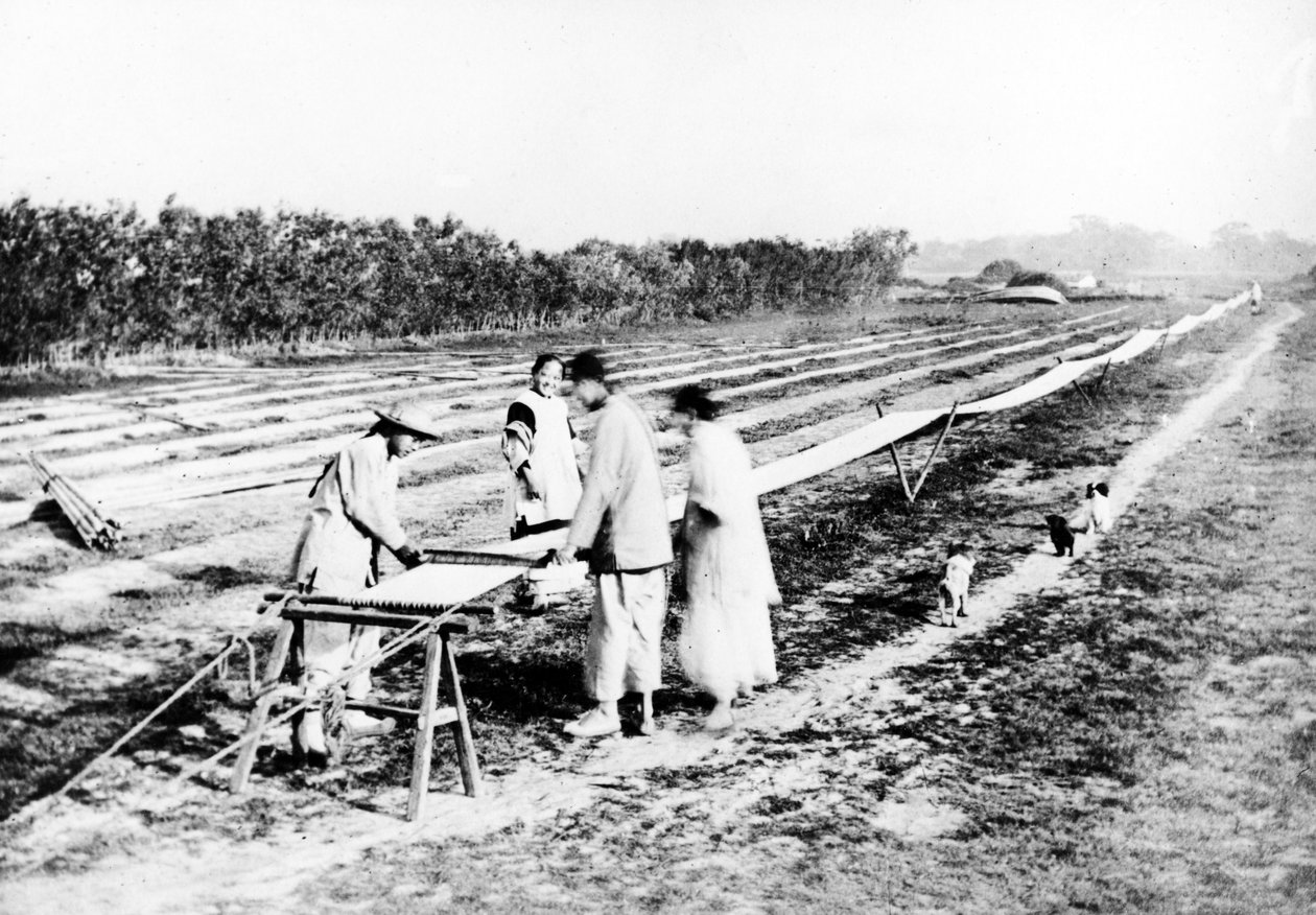 Tecelões Chineses, c.1870-80 de European Photographer