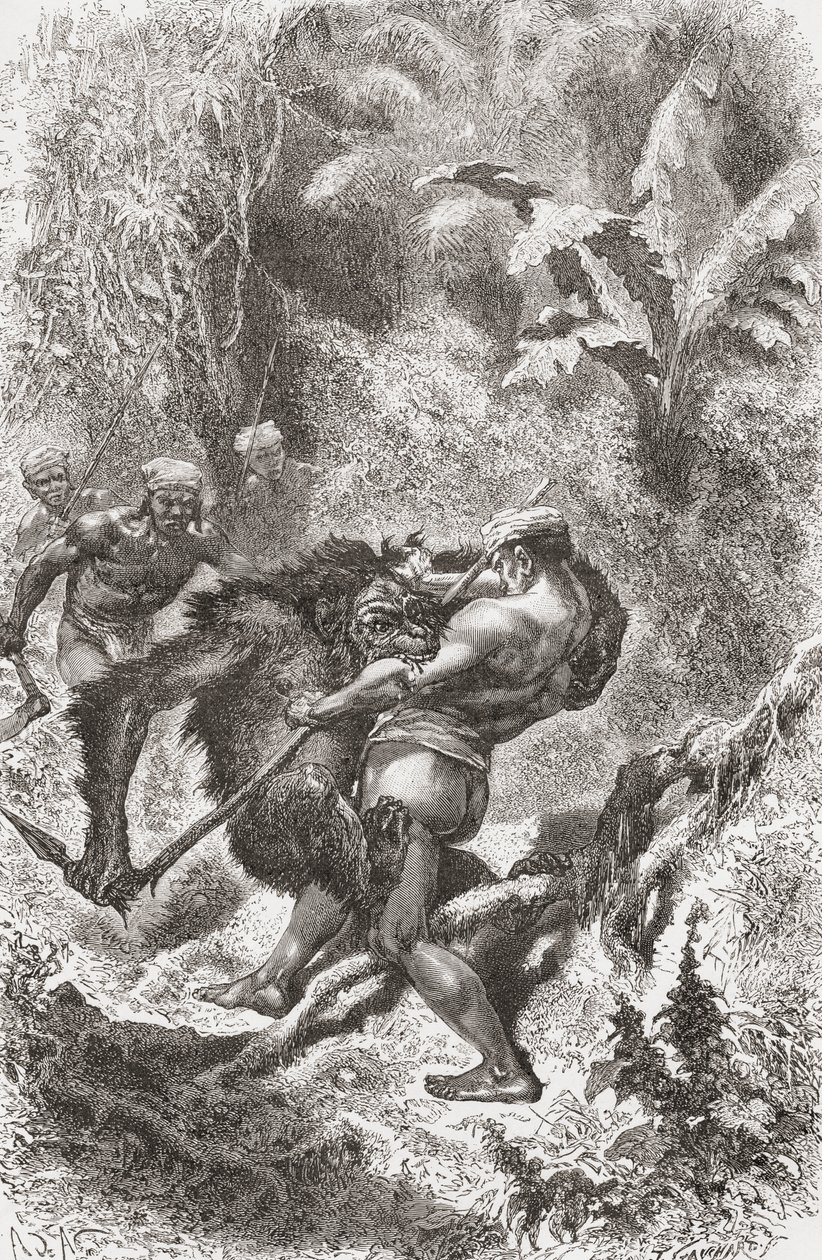 Um nativo de Dayak de Bornéu lutando com um orangotango, de &39;El Mundo en la Mano&39;, publicado em 1878 de European School
