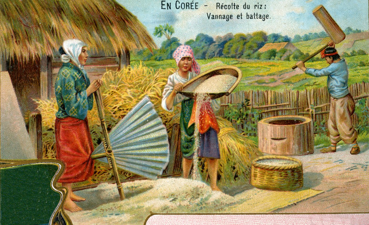 A colheita de arroz na Coreia, joeirando e debulhando, 1904 de European School