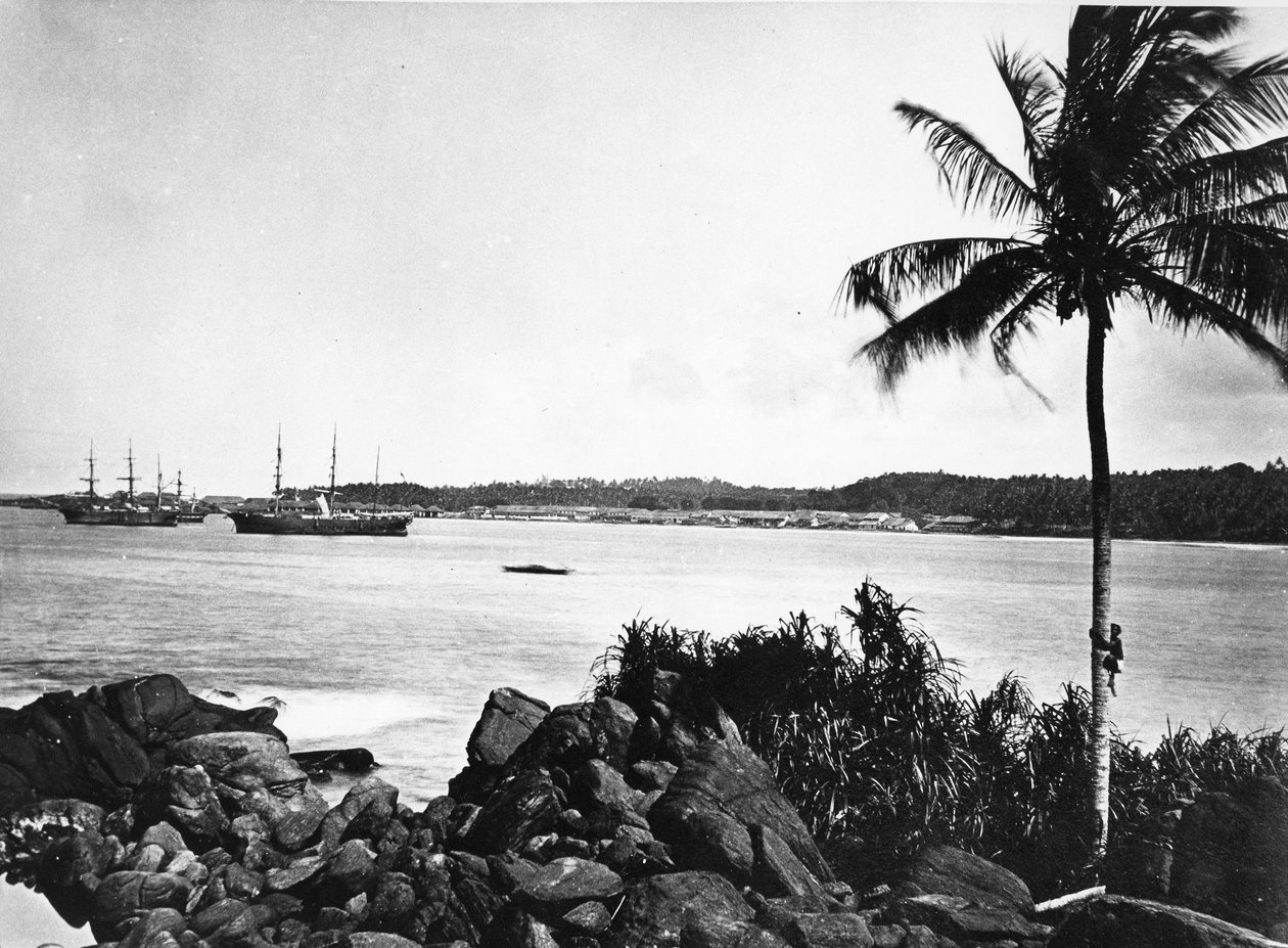 Porto de Colombo, c.1860-80 de European Photographer