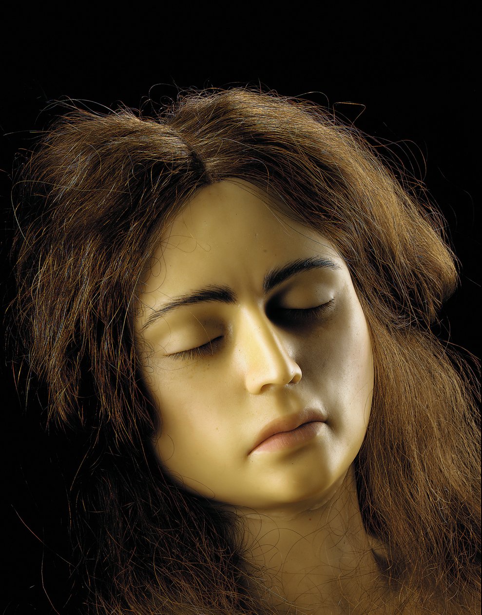 Modelo anatômico de uma gravidez ovariana, detalhe de European School