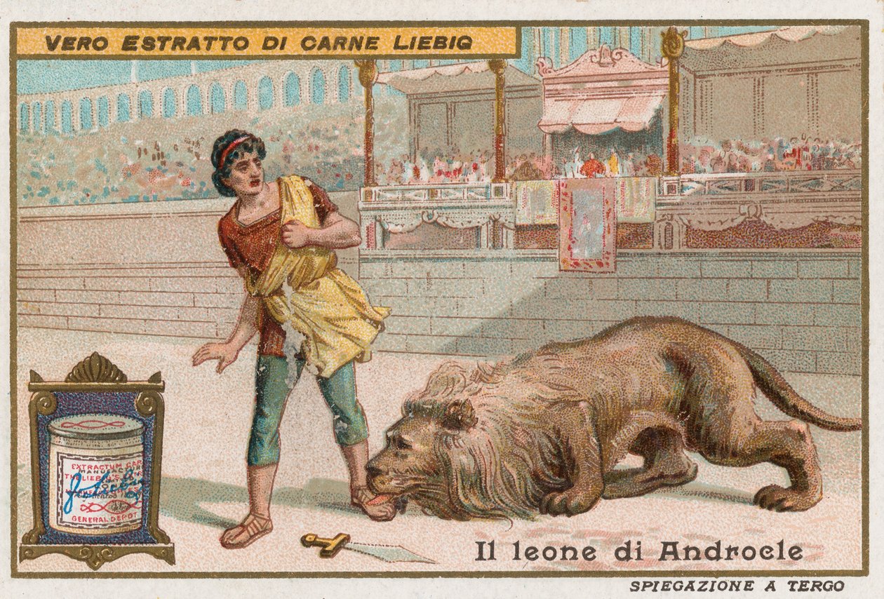 Androcles e o leão de European School