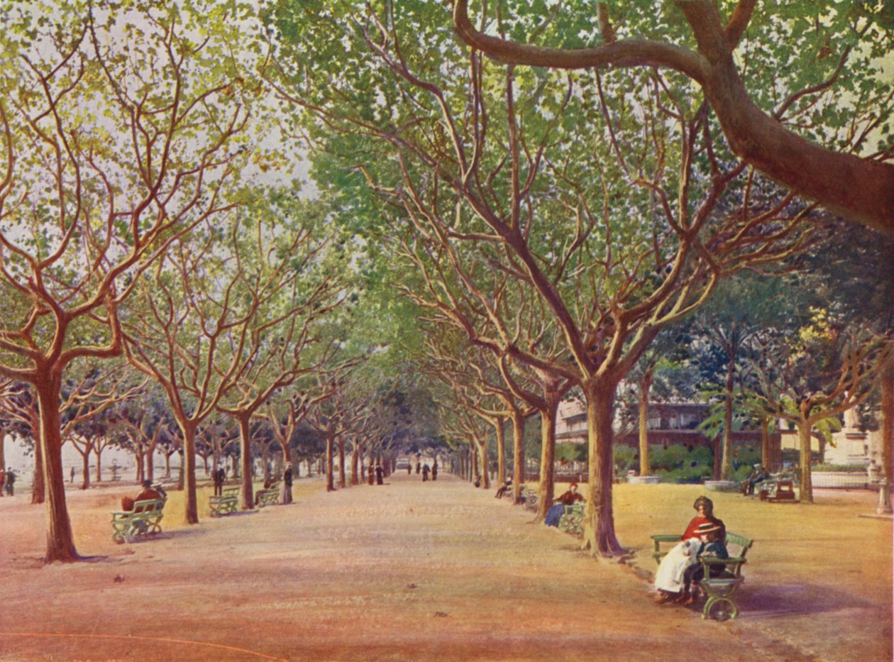 Cannes, Les Allees (litografia a cores) de European School