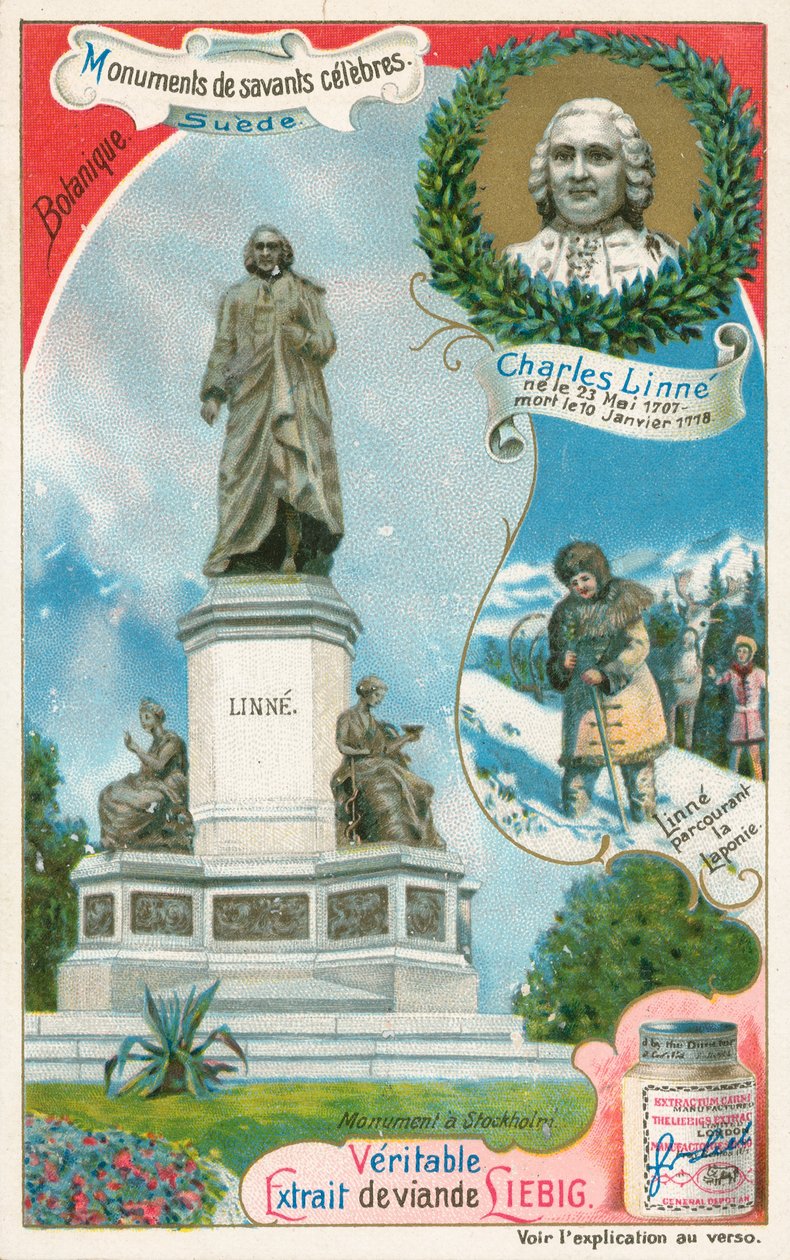 Carl Linnaeus, cartão Liebig, início do século XX (cromo) de European School