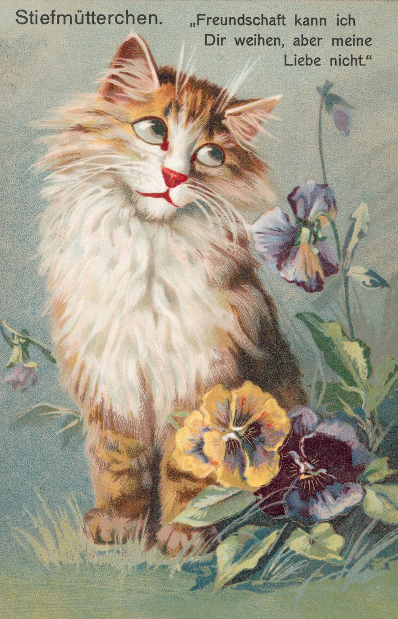 Postal de gato (litografia a cores) de European School