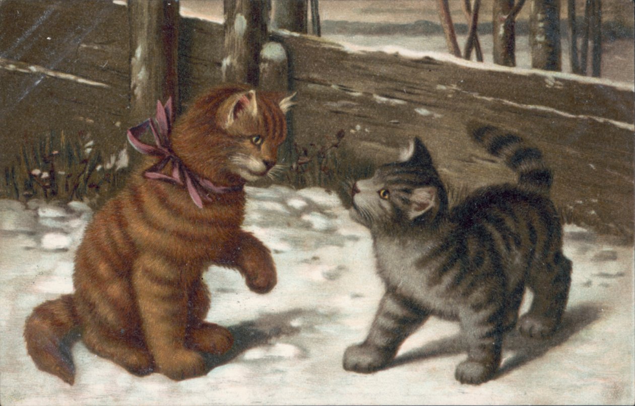 Postal de gato (litografia a cores) de European School
