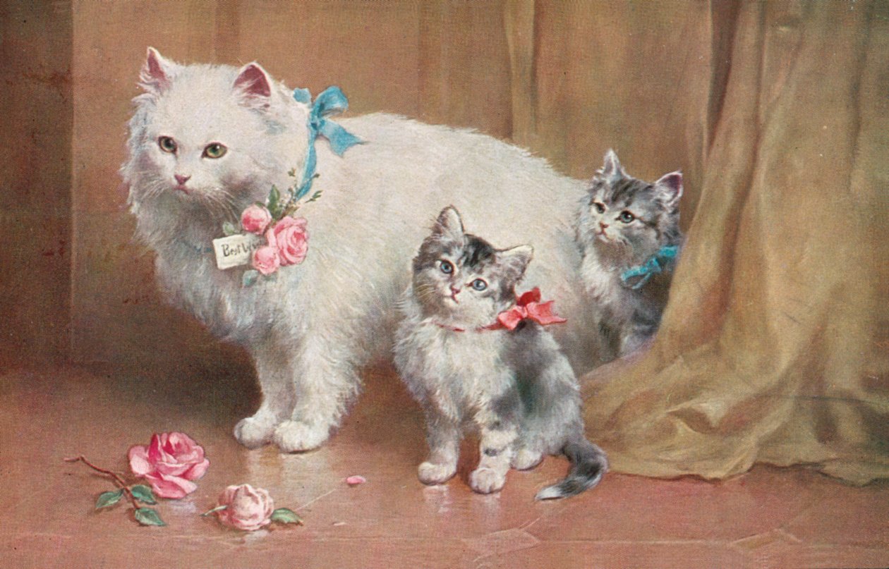 Postal de gato (litografia a cores) de European School
