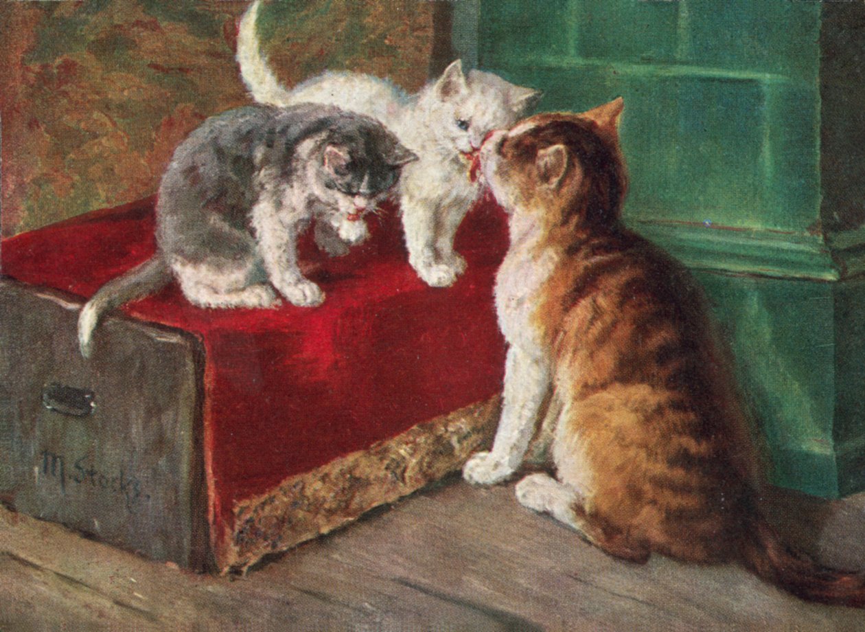Postal de gato (litografia a cores) de European School